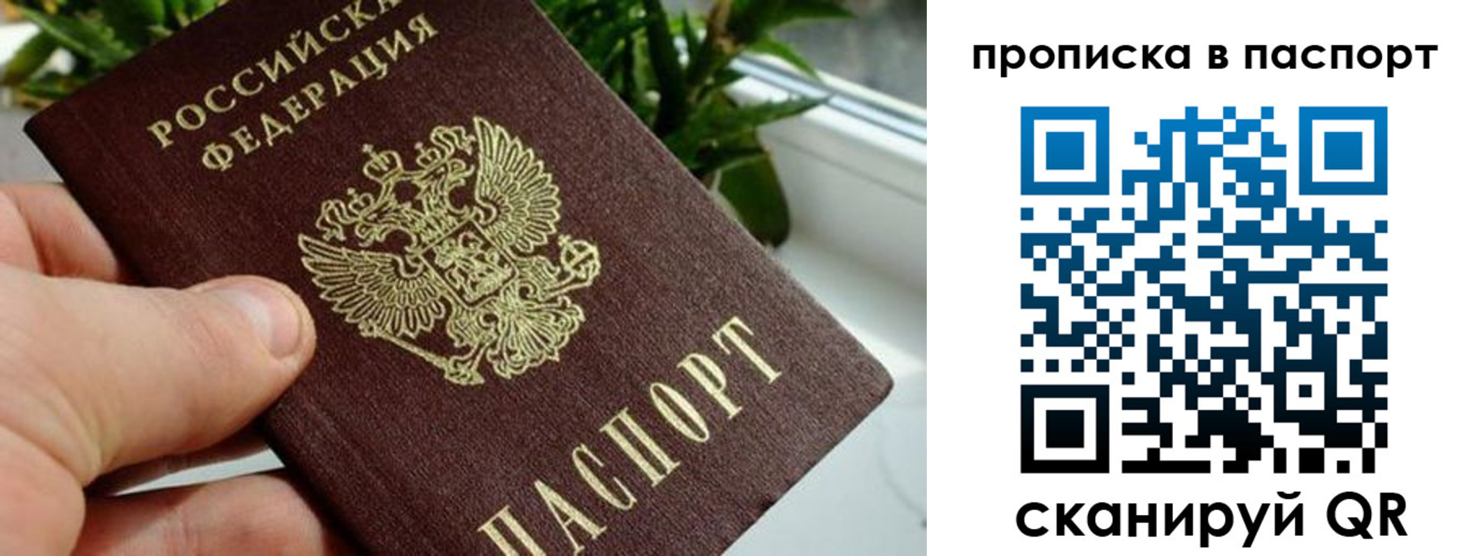 временная регистрация поиск в Юрьев-Польском